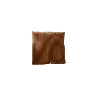 Corduroy Pillow
