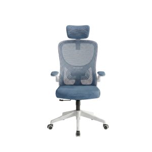 Ergonomic Office Chair